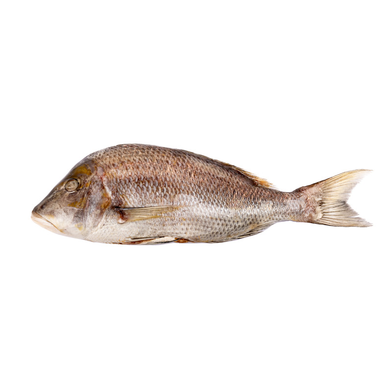 CAPI EMPEREUR V/E 1KG/2KG