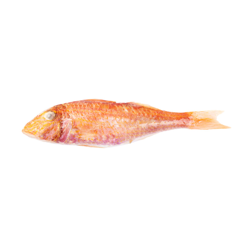 MULET ENT GG 20KG
