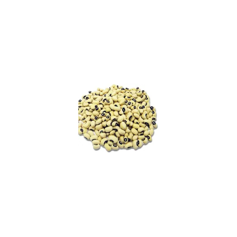 HARICOT CORNILLE TOGO 15X1KG
