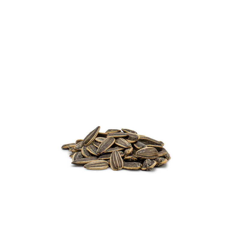 GRAINES DE TOURNESOL GRILLES