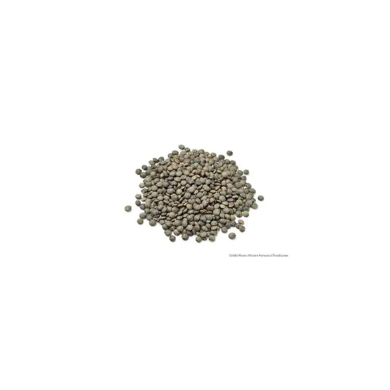 LENTILLES VERTES 12X1KG